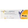 HYALUBRIX SIR 30MG 2ML N/E - HYALUBRIX - 984515458