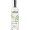 CAUDALIE ACQUA DI BELLEZZA 100ML - CAUDALIE - 939469058