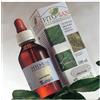RIBES NERO TINTURA MADRE 100ML - - 921671362