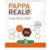 ERBA VITA GROUP SPA Pappa Reale Fresca 30 g - ERBA VITA - 907196392