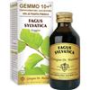 giorgini Gemmo 10+ faggio 100 ml liquido analcolico