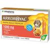 ARKOFARM Srl Arkoroyal - Pappa Reale 1000mg Con Vitamine Senza Zucchero 10 Fiale