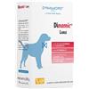 Dynamopet Srl Dìnamic Large Mangime Complementare Per Il Supporto Articolare Del Cane Grande 20 Stick Da 12 Grammi