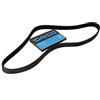 DAYCO 6PK1625 CINGHIA POLY V (ALT/PS/AC) VOLVO V70 S70