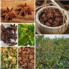 Generic semi di anice stellato, sementi biologiche, antiche varietà, balcone arbusti sempreverdi resistenti di d'appartamento 100pcs