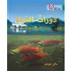 Sally Morgan Life Cycles (Tascabile) Collins Big Cat Arabic Reading Programme