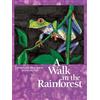 Kristin Joy Pratt-Serafini A Walk in the Rainforest (Libro di cartone)