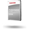 Toshiba X300 High-Performance 256MB HDWR21CUZSVA