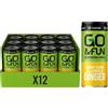 Go&Fun Green Energy Drink Lemon & Ginger 250 ml Liquido