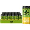 Go&Fun Green Energy Drink Lemon & Ginger 250 ml Liquido