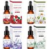 ZOMKIFA Set di 4 Oli Essenziali per Diffusori - Lavanda, Rosa, Gelsomino e Camomilla con Contagocce, Essenze Profumate per Aromaterapia, Umidificatore, Relax e Benessere Casa