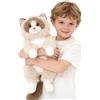 Generisch Ragdoll, gatto di peluche realistico, giocattolo di peluche per bambini, sdraiato, gattino ponderato, regalo di peluche per coccole e giochi (B, 65 cm)