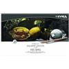 LYRA L2011720 - Scatola Metallo 72 Matite Acquerellabili Aquarell