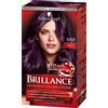 Brillance Nero testa BRILLANCE Intensiv-Color Crema 888 Ciliegio scuro livello 3, con trattamento extra lucido diamantato, confezione da 3 (3 x 143 ml)