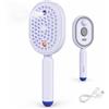 Jeeeun Electric Spray Air Cushion Massage Comb, Self-Cleaning Mist Hair Brush for Anti-Static Frizz Control and Daily Hair Care (Purple)