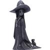 Nemesis Now Little Souls Collection Witchy Decor - Statuetta di strega per decorazione mistica della casa, in resina di alta qualità, sapientemente dipinta a mano - Sparkle