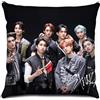 Roffatide KPOP Stray Kids Cuscino per Stay 45 * 45 cm Cuscino quadrato per divano Camera da letto Auto Regalo per fan Stile D