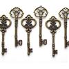 Makhry Misto 20 Scheletri Extra Grandi in Argento Antico - Set di Chiavi 20-3 1/4