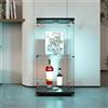 HYNHXBP Vetrina in Vetro a 2 Ripiani con LED, Vetrinetta Espositiva con Ante e Serratura, Vetrina Soggiorno Moderna, per Camera da Letto, Soggiorno e Sala da Pranzo, 40,35x36,5x86,2 cm, Nero