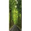 A.Monamour Adesivo Porta Autoadesiva Una Strada In Mezzo Al Verde Degli Alberi Vinile PVC Adesivi per Porte Interne 3D Pellicola Adesiva Poster Sticker Murale Parete Carta da Parati