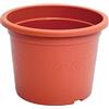 Prosperplast Vaso da fiori 2,5L Plastica 20x20x15 cm, Terracotta