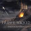 Trippy Wicked & the Cosmic Children of the Knight Underground (CD)