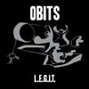 The Orbits L.E.G.I.T. (Vinyl LP) 12" Album