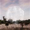 Bernhard Eder Reset (Vinyl LP)