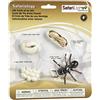 Safari Ltd. Safari Ltd Life Cycle of An Ant