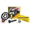 Generico KIT TRASMISSIONE DID CATENA CORONA 42 denti PIGNONE 14 denti compatibile con BENELLI TRK 502 X dal 2018 in poi