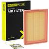 RIDEX PLUS 8A0043P Filtro aria Compatibilità con MINI Hatchback R50, R53