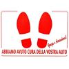 LADY'S LINE ABRA COLOR TAPPETINO IN CARTA USA E GETTA 35 x 50 CM PROTEZIONE INTERNI AUTO E CAMION (50 PEZZI)