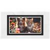 LARA MORADA - Zerbini Rettangolare Per Ingresso Esterno, Antiscivolo, PVC, Stampa Digitale HD, Made in Italy, Tappeto casa Esterno/Interno, Lavabile e Resistente, Rettangolare 40x70 Cm Friends
