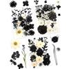 Cinvo 63 PZ Vero Secco pressato Fiore Foglie Nero Bianco Naturale Secco petali con Pinze Candela resina Gioielli Sapone Unghie pendenti Caso del telefono Artigianato