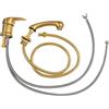 BarberPub miscelatore e doccino per lavatesta da parrucchiere, rubinetto per sedia da parrucchiere con lavabo 8611 8675 8010 8670 8692 8620 8679, WH8005 (oro)
