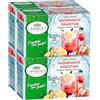 L'Angelica Tisana a Freddo Sgonfiante Digestiva con Fragola Limone e Zenzero per Digestione ed Eliminazione Gas Intestinali Zero Calorie Senza Glutine Vegana Gusto Dolce e Agrumato - 72 Filtri