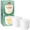 bolsius CleanLight Ricarica, Pompelmo & Zenzero, Candela Profumata Ricaricabile, 2 Pezzi, Durata di Combustione 24 Ore, Contiene Cera Vegetale Naturale, Concetto Sostenibile