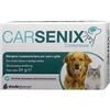SHEDIR CARSENIX 30CPR - SHEDIR - 943100293