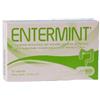 ENTERMINT 30CPS - - 936005281