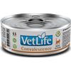 Farmina Vet Life Feline Convalescence 85 g