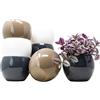 QILZO Coprivaso per Piante da Interno ed Esterno 14 Cm Set da 8 | Vasi Decorativi Interno Moderni in Plastica Resistenti UV | Vasi Piccoli per Piante Grasse, Cactus e Altre Piccole Piante (8 unità Ø 14 cm)