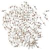 FUBESK Mini lampadine a luce bianca calda, 120 pezzi, trasparenti, 3 mm, per illuminazione decorativa e funzionale da 12 V
