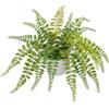 Arborus pianta artificiale in vaso felce artificiale piante verdi felce piante appese pianta artificiale come vera felce artificiale bottone per la decorazione della stanza decorazione dell'ufficio