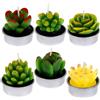 JIAMIAN 6 Pezzi Candele di Cactus Tea Light Fatto a Mano Delicato Succulento, Verde Carino Mini Piante Grasse Profumate per Decorazione Casa Regalo