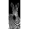 A.Monamour Adesivo Porta Autoadesiva Zebra in Bianco E Nero A Tema Animale Vinile PVC Adesivi per Porte Interne 3D Pellicola Adesiva Poster Sticker Murale Parete Carta da Parati