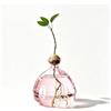 FARYODI Lampadina avocado Vaso in vetro per fiori, semi di avocado, vaso di avocado, vaso per piante, per avocado e castagne, per la casa, per interni ed esterni (rosa)