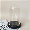 Nynelly Campana di Vetro con Base Nera, Cloche a Cupola Trasparente con Luci, Teca Esposizione Centrotavola per Succulente, Keepsake, e Antiquariato, 3.9 D X 7.3 H