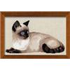 RIOLIS - Gatto Thai 1066, Punto croce 38x26, Punto croce kit da ricamare, Disegni da ricamare, Embroidery kit, Kit ricamo punto croce