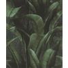 Rasch Carta da parati in tessuto non tessuto, motivo giungla 'Back to Nature', motivo floreale, foglie verdi per un ambiente esotico, robusta e lavabile, 10,05 m x 0,53 m