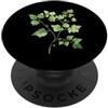 Nature's Canvas Designs Illustrazione botanica della vite dell'edera verde dell'acquerello PopSockets PopGrip Adesivo